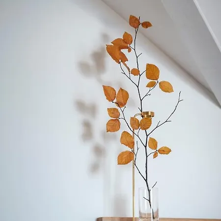 Casa de hóspedes Laura